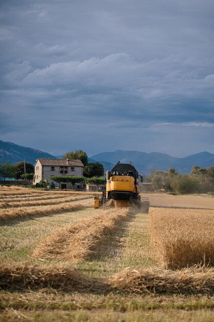 Una máquina agrícola en un campo de trigo.