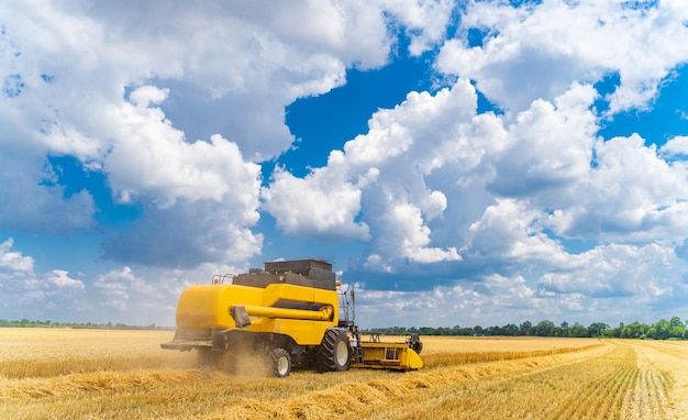 Máquina agrícola cosechando cultivos en campos Técnica especial en acción