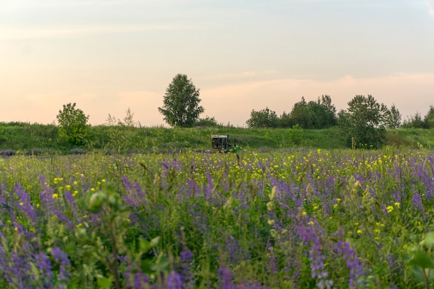 Foto máquina cosechadora en la distancia en el campo con alfalfa en el fondo del cielo nocturno