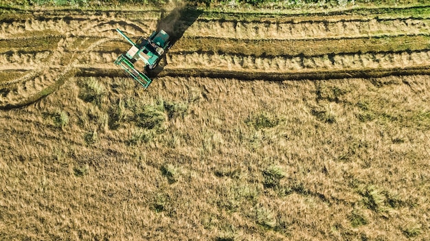 Máquina cosechadora que trabaja en la vista aérea de drones de campo desde arriba, cosechadora agrícola