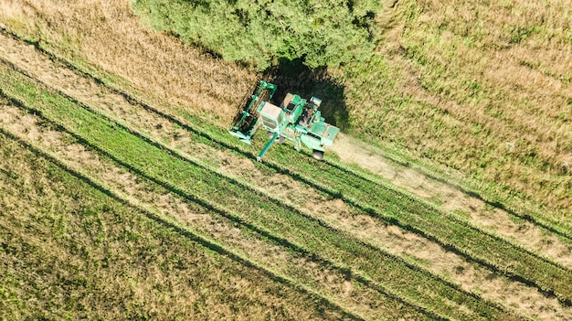 Máquina cosechadora trabajando en campo vista aérea desde arriba, cosechadora agrícola máquina cosechadora campo de trigo maduro