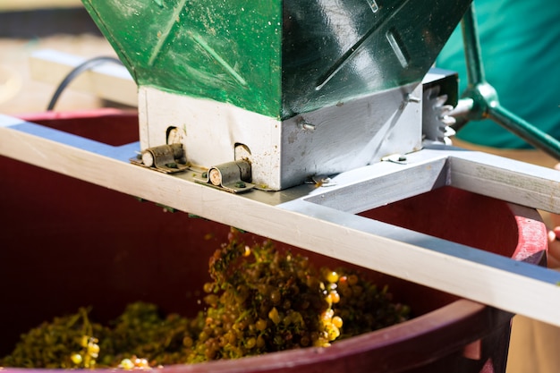 Máquina de colheita de uvas ou espremedor no trabalho