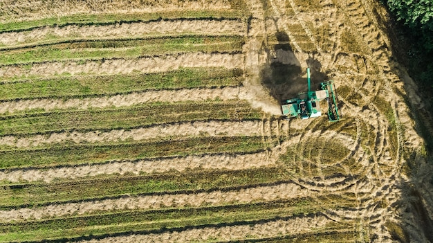 Máquina de colheita trabalhando em vista aérea de campo