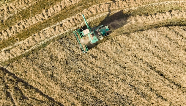 Máquina de colheitadeira trabalhando em campo vista aérea de cima da máquina agrícola de colheitadeira