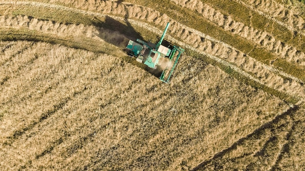 Máquina de colheitadeira trabalhando em campo vista aérea de cima da máquina agrícola de colheitadeira