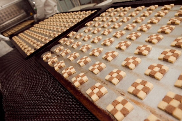 Máquina de fazer biscoitos na fábrica.