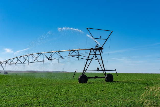 Máquina de irrigação em grandes campos cultivados