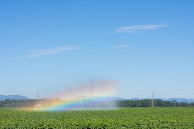 Máquina de irrigação em um campo verde em uma paisagem plana com arco-íris