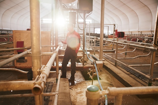 Máquina de ordenha automatizada de fazenda de vacas moderna tecnologia de produção de leite na fábrica