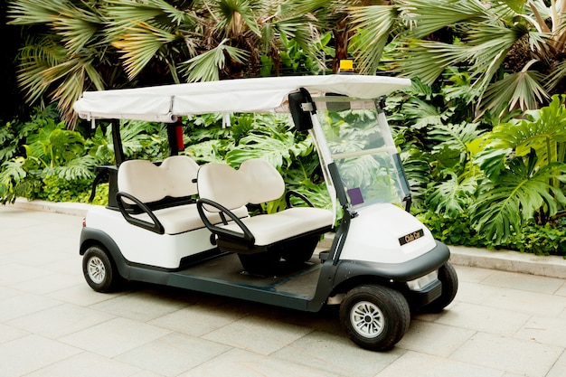 Máquina de golf eléctrica