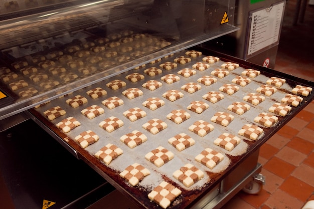 Máquina para hacer galletas en la fábrica.