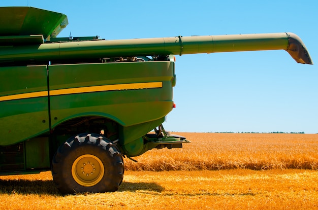 Foto la maquinaria agrícola recoge la cosecha de trigo amarillo en campo abierto en un día soleado y brillante