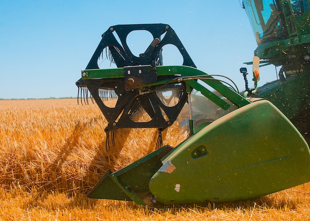 Foto la maquinaria agrícola recoge la cosecha de trigo amarillo en campo abierto en un día soleado y brillante