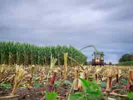 Foto máquinas agrícolas en el campo de trigo contra el cielo