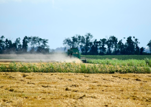 Foto máquinas agrícolas para la cosecha