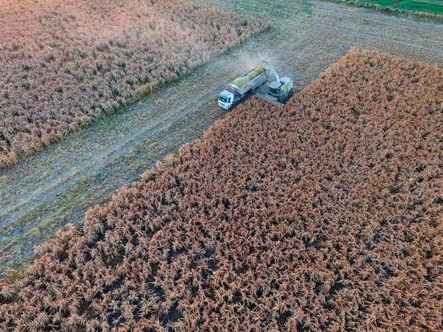 Máquinas agrícolas trabalhando no campo argentino em La Pampa Argentina