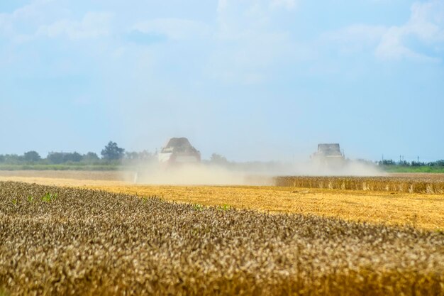 Foto máquinas agrícolas