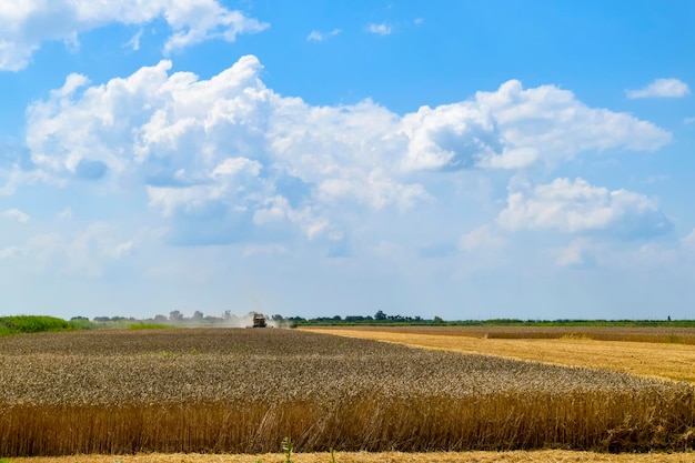 Foto máquinas agrícolas