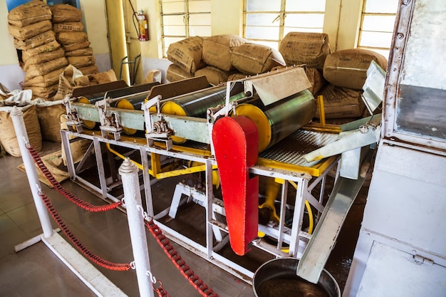 Máquinas dentro de la fábrica de té.