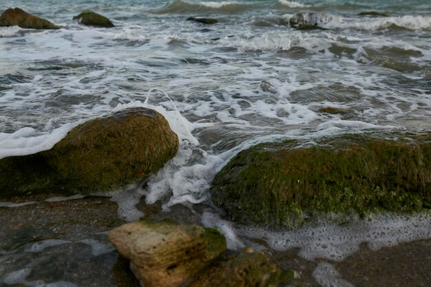 Mar A beira da água no mar Pequenas ondas no mar