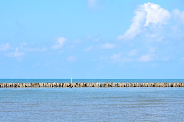 Mar azul en clima despejado Hay palos de madera bordados