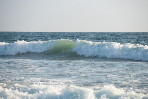 Mar azul com águas claras Oceano índigo profundo à luz do dia Sentindo-se calmo e relaxante A ideia para o fundo do oceano e espaço de cópia