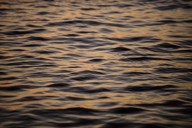 Mar azul com águas claras Oceano índigo profundo à luz do dia Sentindo-se calmo e relaxante A ideia para o fundo do oceano e espaço de cópia