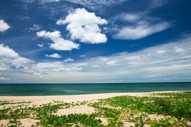 Mar azul e céu azul