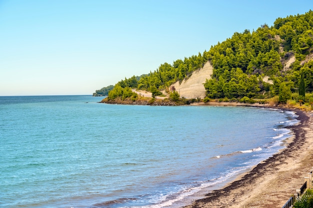 Mar azul e praia com floresta em fourka scala, halkidiki, grécia