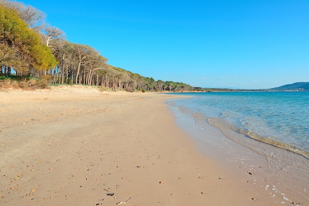 Mar azul en la playa de Mugoni Cerdeña