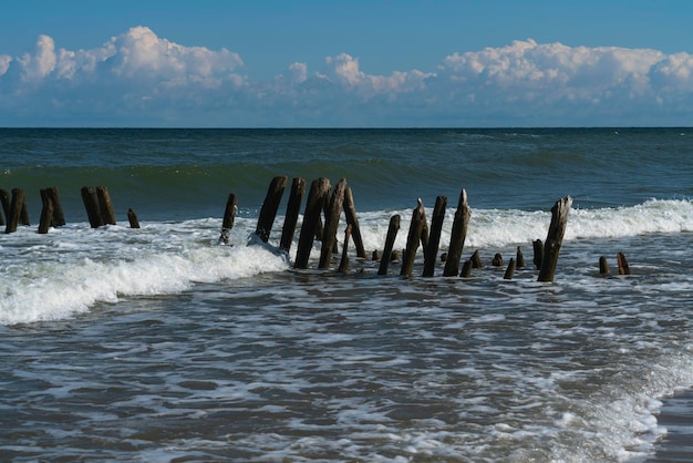 Mar Báltico e quebra-mares de madeira na praia de Curonian Spit em um dia de verão na região de Kaliningrado, Rússia