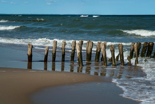 Mar Báltico e quebra-mares de madeira na praia de Curonian Spit em um dia de verão na região de Kaliningrado, Rússia