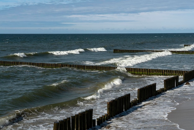 Mar Báltico y rompeolas de madera de la playa de la ciudad Svetlogorsk región de Kaliningrado Rusia