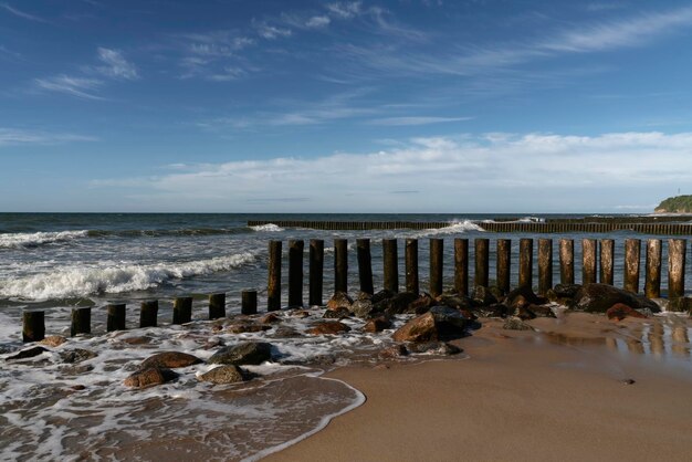 Mar Báltico y rompeolas de madera de playa en un día de verano Svetlogorsk región de Kaliningrado Rusia