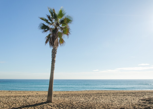 Foto mar en barcelona