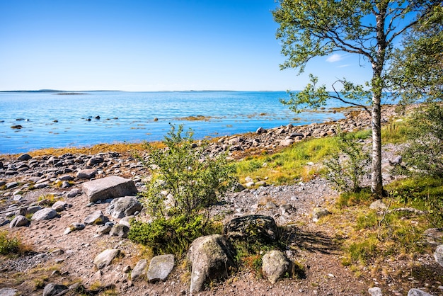 Mar Blanco en las islas Solovetsky, piedras en la orilla y piedra de negociación