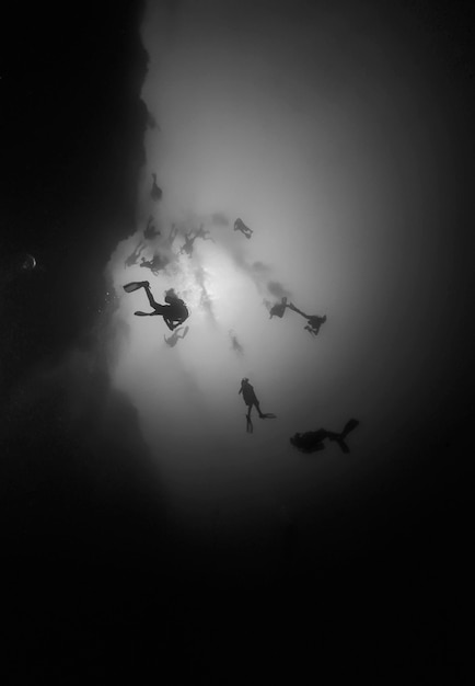 Foto mar caribe, belice, foto uw, inmersión profunda en el agujero azul de belice - escaneo de película