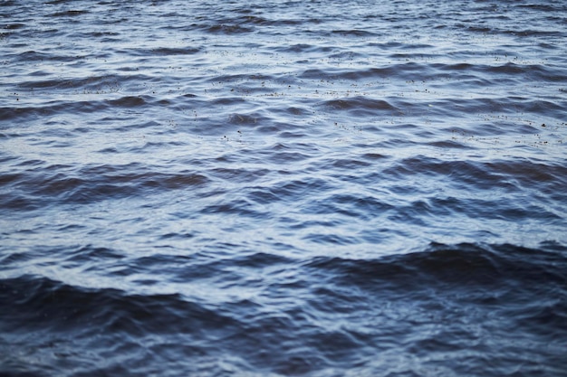 mar com ondas e céu claro superfície calma da água do oceano com fundo de água do oceano pequeno perdiz