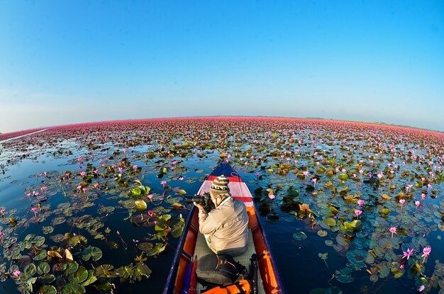 Mar de lótus vermelho ao nascer do sol luz do sol com lindo céu em udon thanithailand conceito de lago lotus