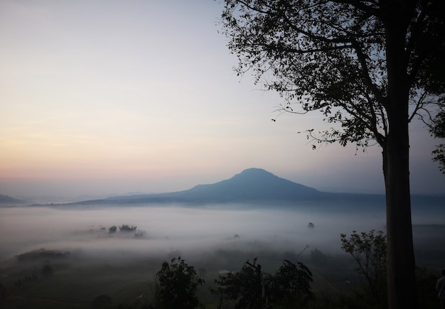 Mar de nevoeiro em Khao Kho Phetchabun, Tailândia