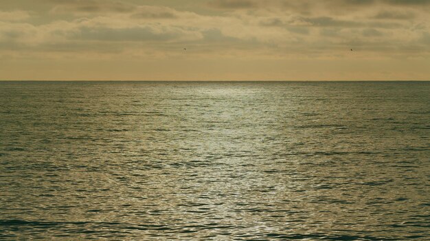 Mar dorado al atardecer reflejo y ondulaciones en la superficie del agua del mar al atardezer