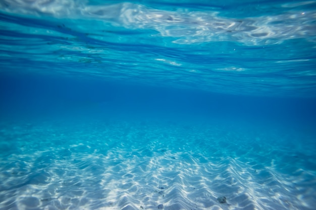 Foto bajo el mar en las maldivas