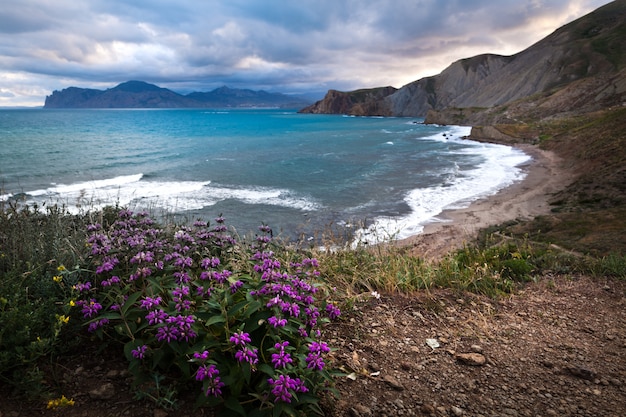 Mar, montañas, flores violetas, cielo con nubes