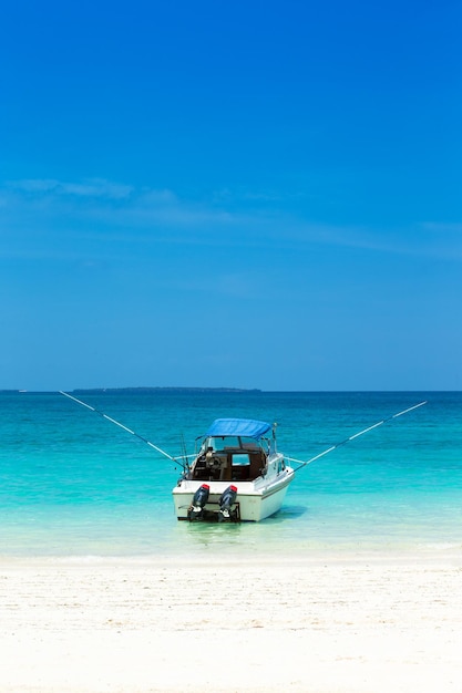 Mar na praia de zanzibar paraíso natural da água tropical natureza relaxe viajar resort de ilha tropical