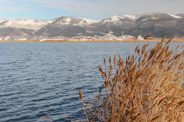 Foto mar negro en invierno novorossiysk rusia vista de la ciudad desde la orilla