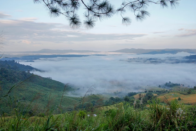 Mar de niebla en Khao Kho en Tailandia