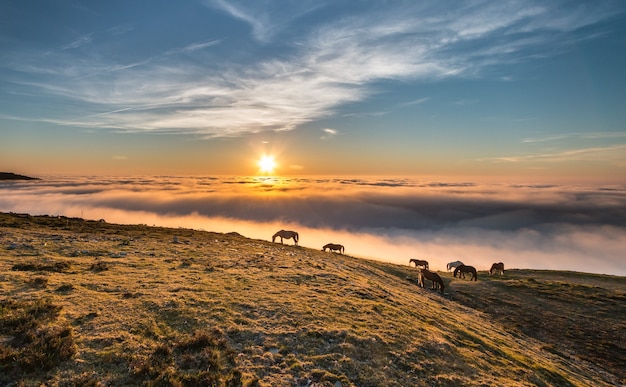 mar de niebla en la montaña