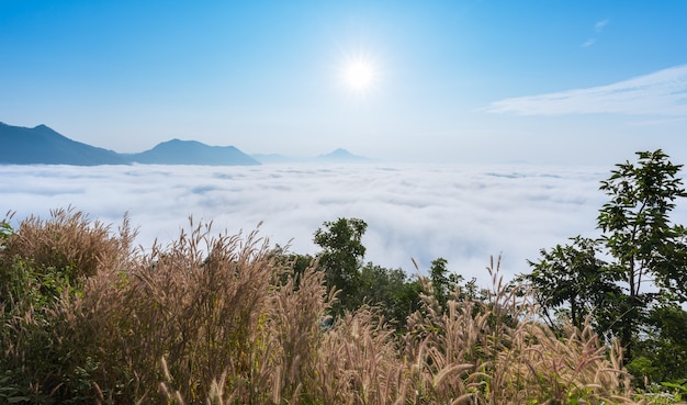 mar de niebla sobre la montaña Phu Thok