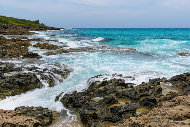 del mar y de las olas