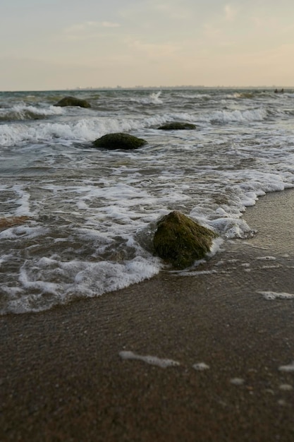 Mar La orilla del agua en el mar Pequeñas olas en el mar